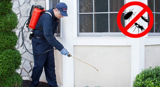 Çelebi Kene İlaçlama böcek ilaçlama ve haşere kontrolü — ilaclama-tr.com